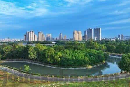 90.足球比分-90分钟风云变幻，足球比分背后的热血与智慧